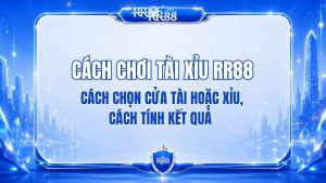 Cách Chơi Tài Xỉu RR88 Cho Người Mới