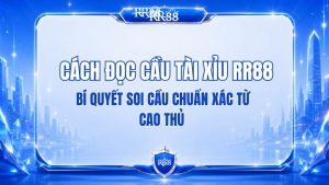 Cách Đọc Cầu Tài Xỉu RR88 Và Những Điều Cần Biết